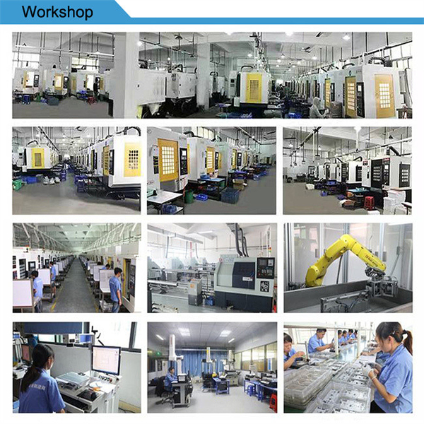 China Xinshizhan Precision Co., Ltd. Bedrijfsprofiel